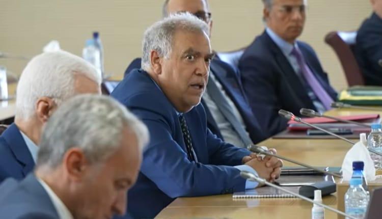 وزير الداخلية: مشروع قانون جديد سيعيد تنظيم البيع والتوزيع داخل أسواق الجملة للقطع مع شناقة
