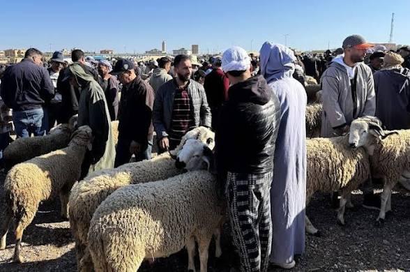 بين القرار والتطبيق.. إيقاف مضاربين بسوق بنسودة بعد ضبط تلاعب في أسعار الأضاحي