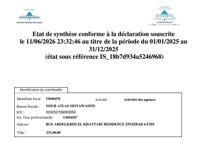 Etat de synthèse conforme à la déclaration souscrite le 11/06/2026 23:32:46 au titre de la période du 01/01/2025  au 31/12/2025  (état sous référence IS_18b7d934a5246968)
