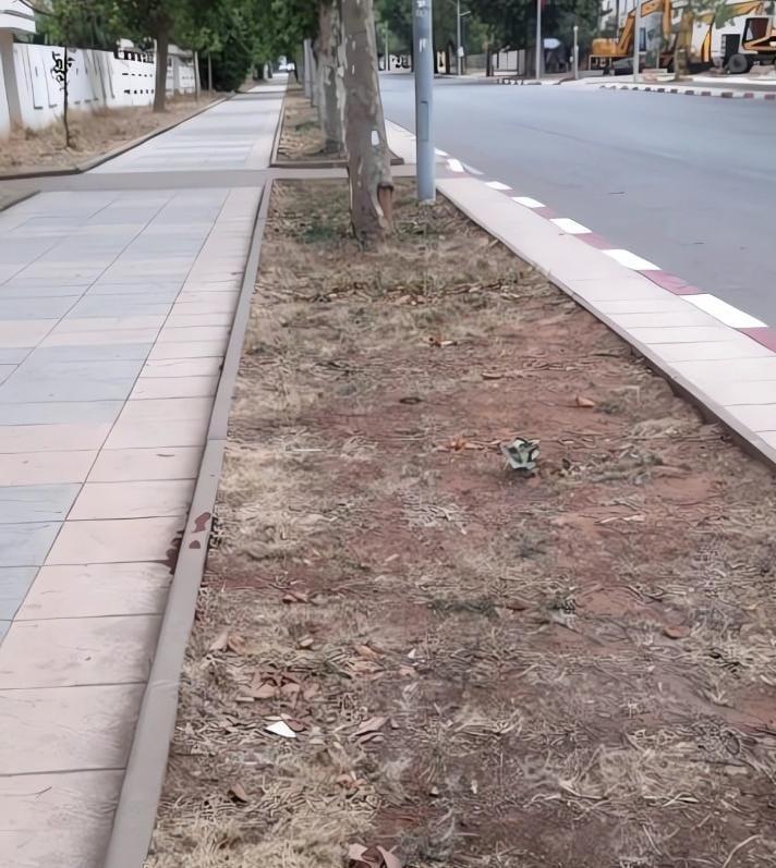 إيموزار كندر..الحرارة و غياب السقي و الصيانة يخنق المساحات الخضراء وسط تساؤلات حول دور المجلس الجماعي