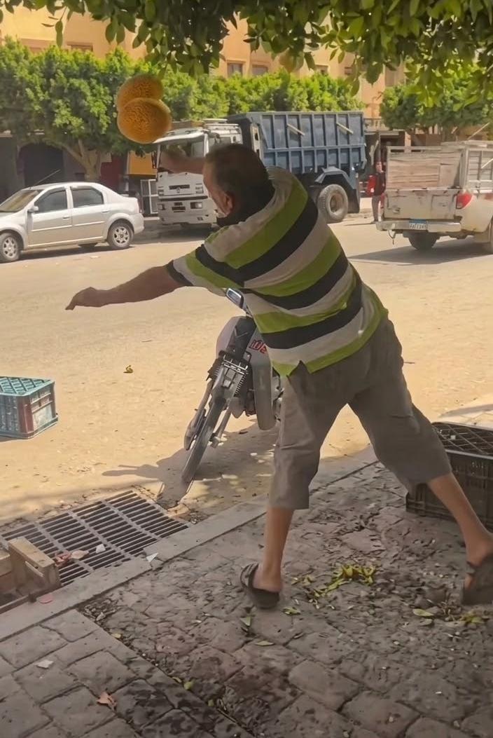 خاص..حقيقة الفيديو المتداول لتاجر بمدينة تيسة يرمي الفواكه يفضح ادعاءات التضييق و الحيف