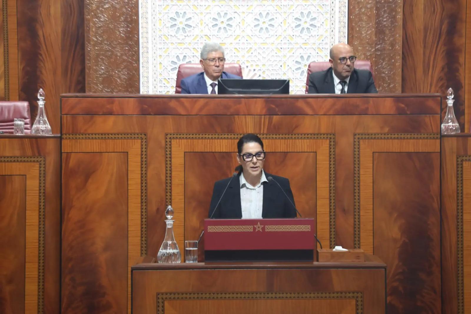 البرنامج الحكومي..المنصوري تتعهد بتجريم الإثراء غير المشروع و تضارب المصالح و محاربة كل اشكال الفساد