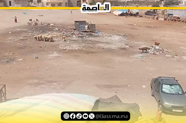 فاس.. قطعان الأغنام ترعى بأزقة حي المسيرة تشوه الوجه الحضاري للعاصمة العلمية